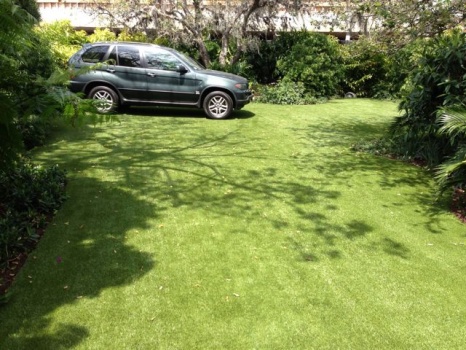 driveway-grass-wrigley-1