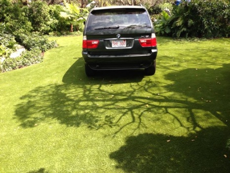 driveway-grass-wrigley-3