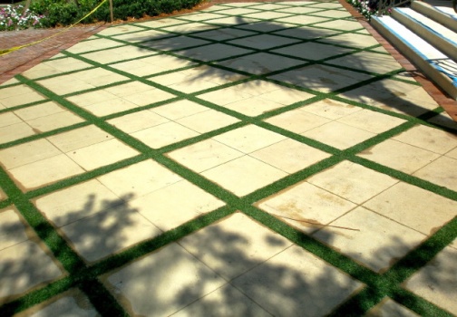 Fake Grass Carpet