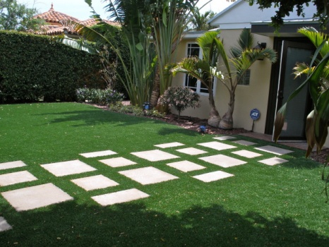 Carpet Grass Florida