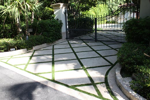Driveway grass Florida